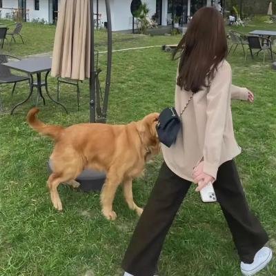 地球全记录